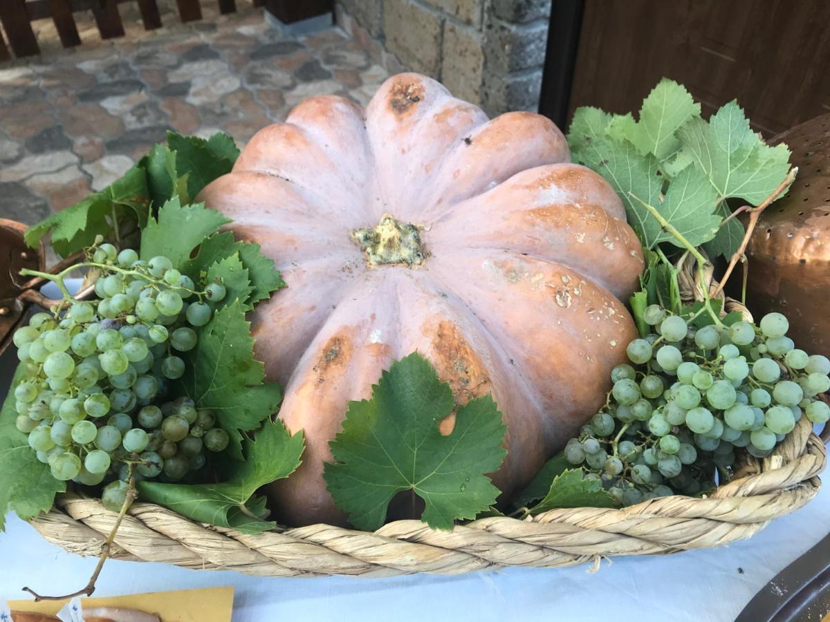Agriturismo A Casa Di Susanna Santo Stefano del Sole Экстерьер фото